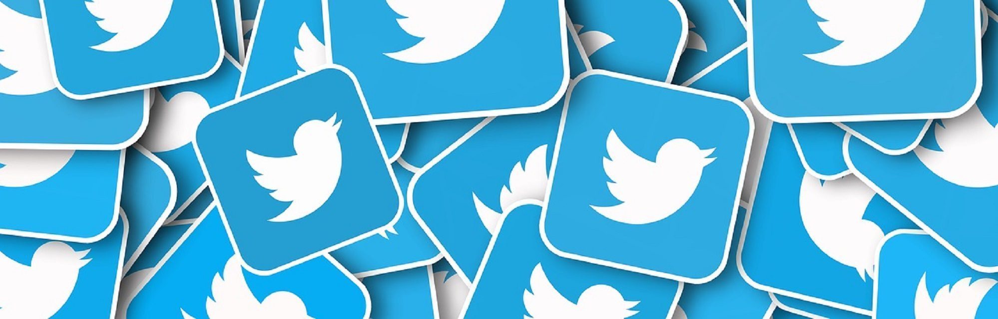 Twitter klaagt hate speech waakhond aan
