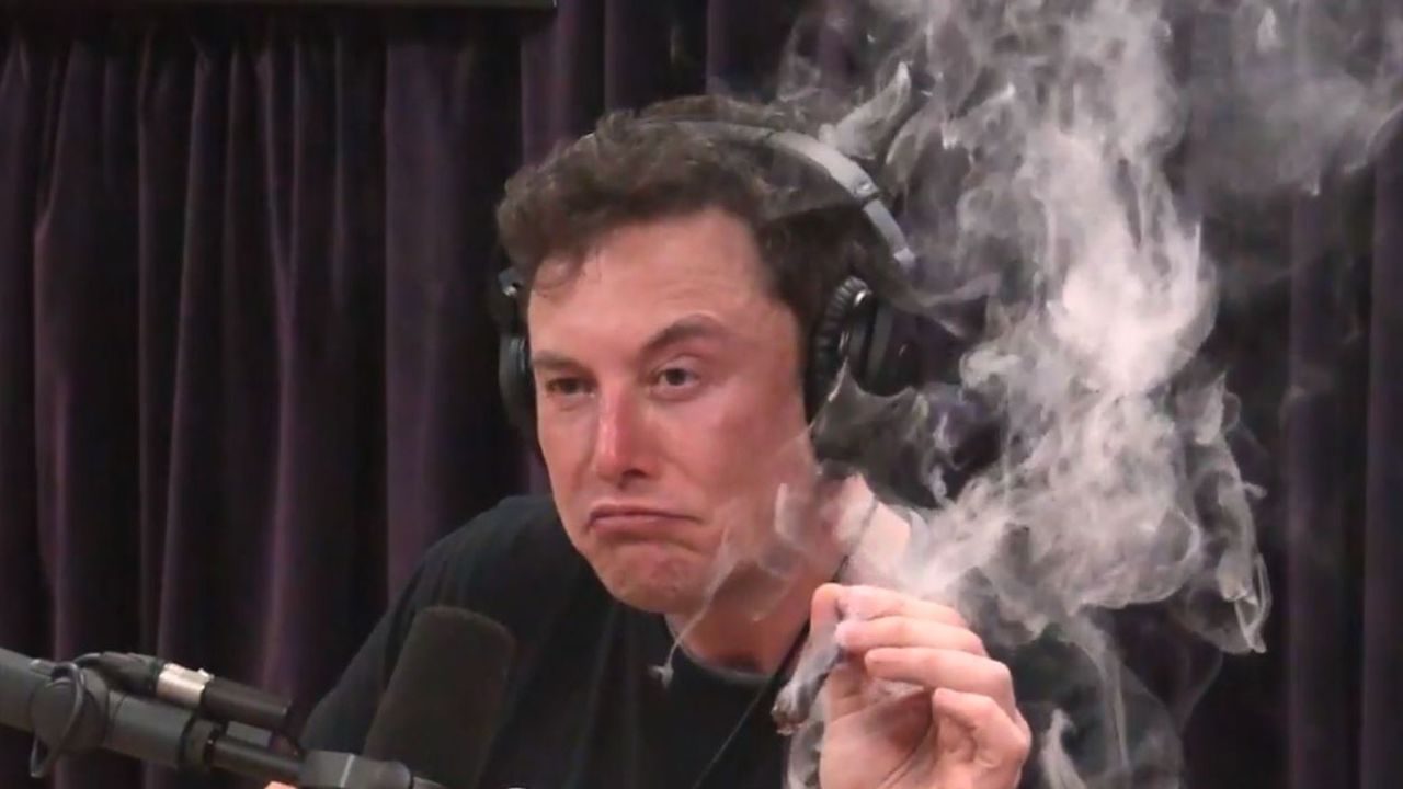 Elon Musk geeft zichzelf en collega bizarre functies