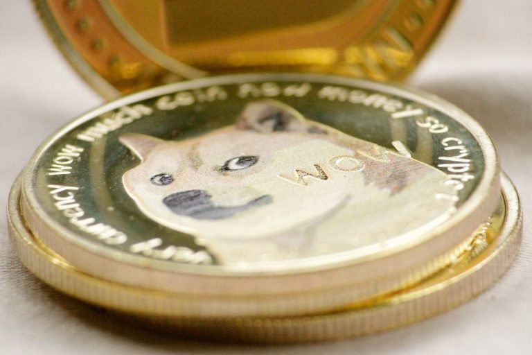 Meme- munten zoals Dogecoin en Shiba Inu verliezen veel waarde
