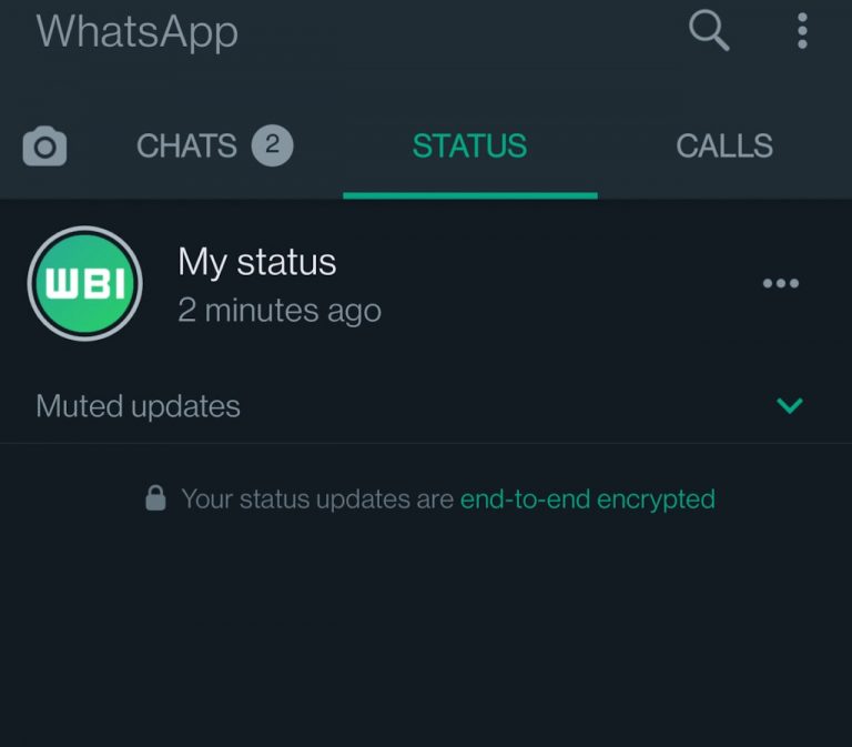 Gebruik je stem om een WhatsApp status te delen