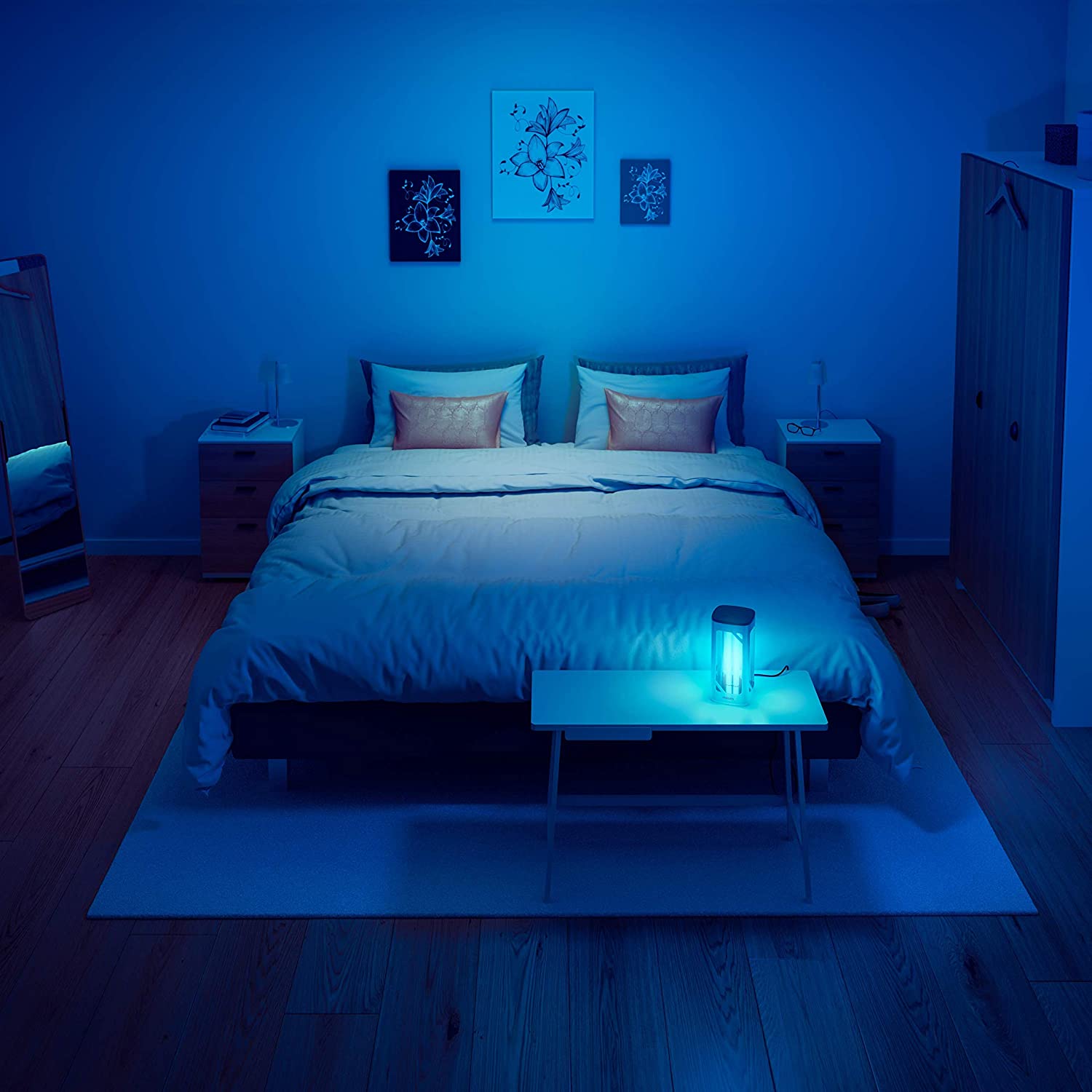 UV lamp fights fungi, viruses and bacteria in the home