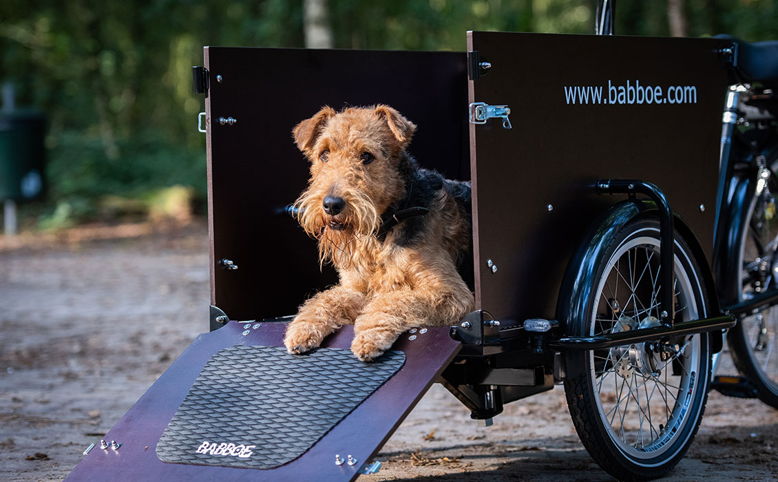 Top 4 electric cargo bikes for dogs